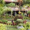 Отель Dewa Bharata Bungalows Ubud, фото 27