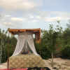 Отель Private Boho Trullo Near Alberobello /locortotondo, фото 11