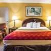 Отель Rodeway Inn & Suites, фото 2