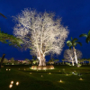 Отель Casa Hacienda San Jose, фото 3