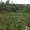 Отель Ubud Cliff Villas, фото 2
