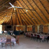 Отель Dimba Safaris, фото 8