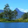 Отель Butterfly Mountain Lake Side, фото 31