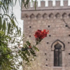 Отель Torre dei Tauri, фото 1