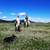 Отель Ranch Terra, фото 4