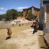 Отель Mountain Goat Lodge, фото 6