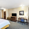 Отель Holiday Inn Express & Suites Floresville, an IHG Hotel, фото 7