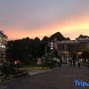 Отель Homeland Dreamland Boutique Hostel, фото 1