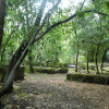 Отель Bosque Los Lleuques Cabaña & Spa, фото 11