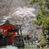 Отель Atarashiya Ryokan - Dorogawa-onsen Hot Spring, фото 20