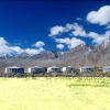 Отель TIH Pangong Lake View Cottages and Camps, фото 1