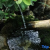 Отель Jianchuan Yiru Geshi Homestay, фото 8
