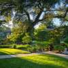 Отель Paso Robles Inn, фото 18