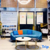 Отель GreenTree Inn (Xinghua Yingwu South Road RT-Mart), фото 9