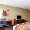 Отель Comfort Inn & Suites Kannapolis - Concord, фото 6