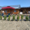 Отель Guesthouse Omalo, фото 13