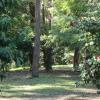 Отель Sunway Farm Bed & Breakfast and Rosebud Cottage, фото 16