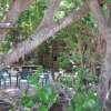 Отель Ed & Ellens Lodging Key largo, фото 14