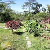 Отель Finca Ecolodges El Ocelote, фото 20
