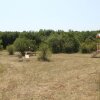 Отель Un Chemin en Quercy, фото 23