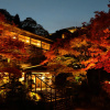 Отель Negiya Traditional Japanese Spa Ryokan, фото 1