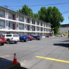 Отель Cougar Land Motel, фото 5