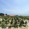 Отель Hodota Cam Binh Resort & Spa-Lagi Beach, фото 10