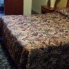 Отель Parkway Motel, фото 13