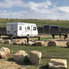 Отель Betzet Beach Campsite, фото 1