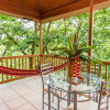 Отель Casa Macaw Jungle Cabin w Private Pool Wifi and AC, фото 19