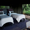 Отель Wilderness Camp, фото 2
