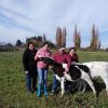 Отель Casa Rural Curico, фото 8