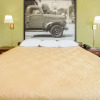 Отель Super 8 by Wyndham Normal Bloomington, фото 3