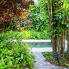 Отель Hale Akua Garden Farm & Eco-Retreat, фото 25