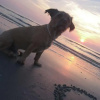 Отель By Boock's, фото 25