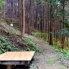Отель Jangseong Pyeonbaeksup Hwangto Pension, фото 8