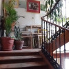 Отель Hostal Dolcevita, фото 9