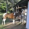 Отель Itacaré EcoRanch, фото 12