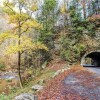 Отель Zen Bear Retreat - One Bedroom Cabin, фото 14