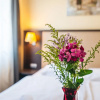 Отель Casino & Hotel ADMIRAL Ptuj, фото 10
