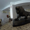 Отель Residencial Lions Apart Hotel, фото 16