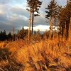 Отель Gasthof Waldschenke, фото 4