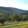 Отель Cortijo El Criadero, фото 16