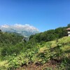 Отель Agriturismo Cascina Cornella, фото 12