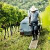 Отель Weingut & Pension zum Seeblick Familie Sattler, фото 33