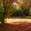 Отель Hosteria El Establo, фото 17