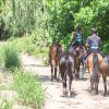 Отель Kande Horse And Guest Farm House, фото 13