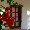 Отель Red Door Apartment, фото 3