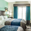 Отель Comfort Inn Dunn near I-95, фото 4