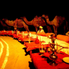 Отель The Desert Haveli Resort and Camp, фото 17